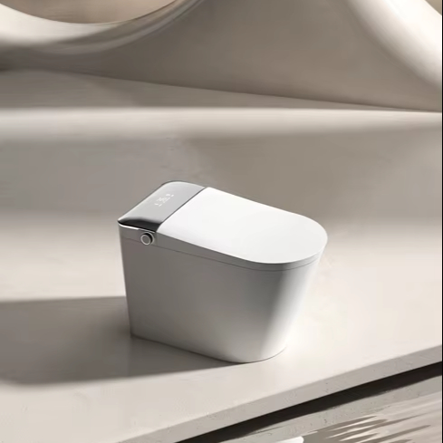 JM810L Intelligenter WC-Toilet – Smart Accessories Bewertung und Preis