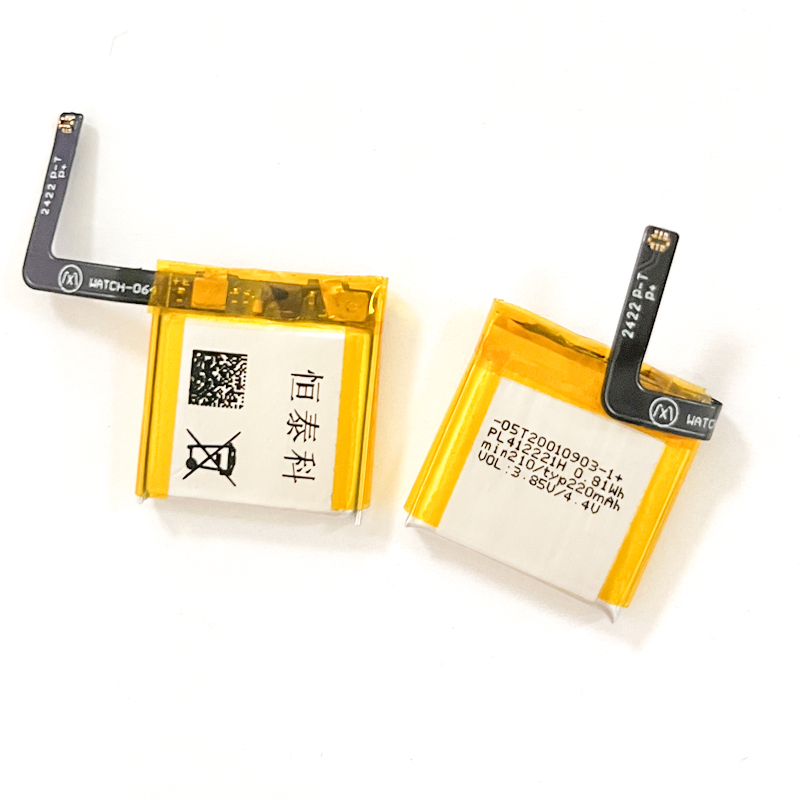 Wiederaufladbare Batterie PL41 – Smartwatch A1914 Bewertung und Preis